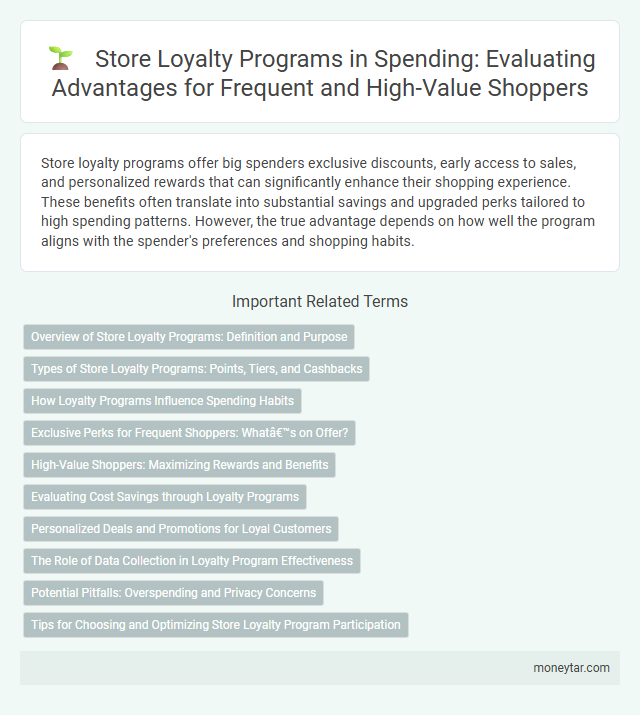 Store Loyalty Programs in Spending: Evaluating Advantages for Frequent and High-Value Shoppers