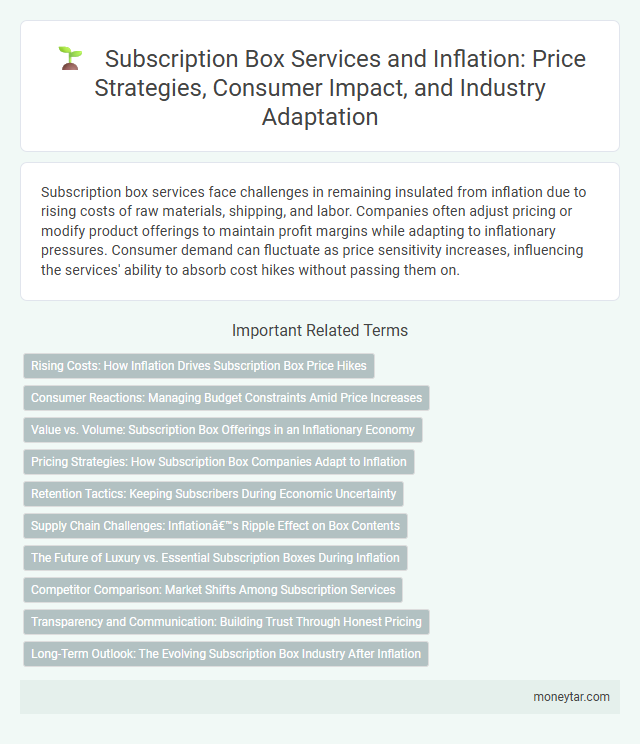 Subscription Box Services and Inflation: Price Strategies, Consumer Impact, and Industry Adaptation