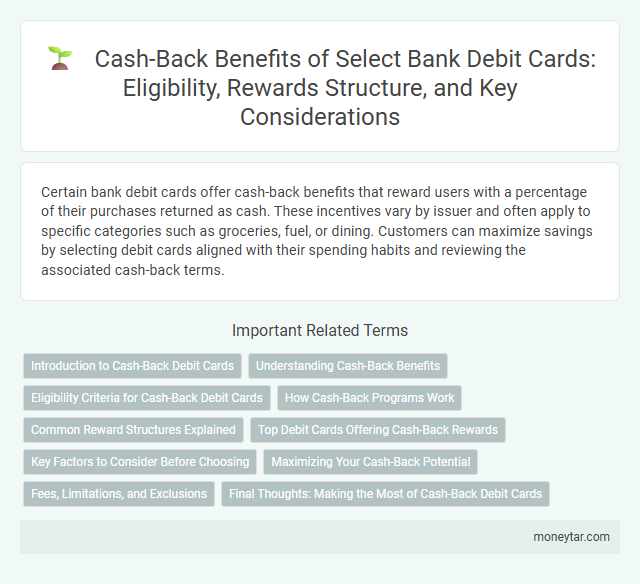 Cash-Back Benefits of Select Bank Debit Cards: Eligibility, Rewards Structure, and Key Considerations