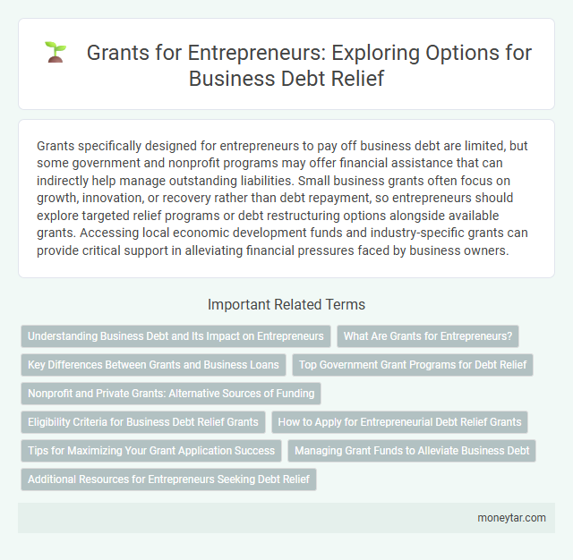 Grants for Entrepreneurs: Exploring Options for Business Debt Relief