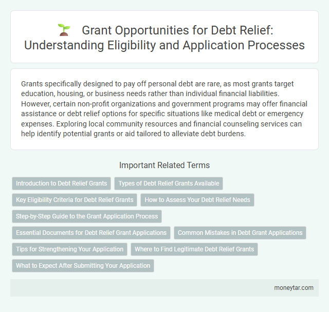 Grant Opportunities for Debt Relief: Understanding Eligibility and Application Processes