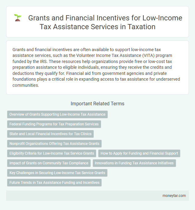 Grants and Financial Incentives for Low-Income Tax Assistance Services in Taxation