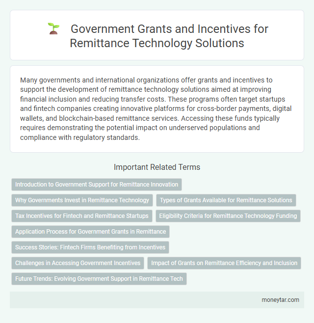 Government Grants and Incentives for Remittance Technology Solutions