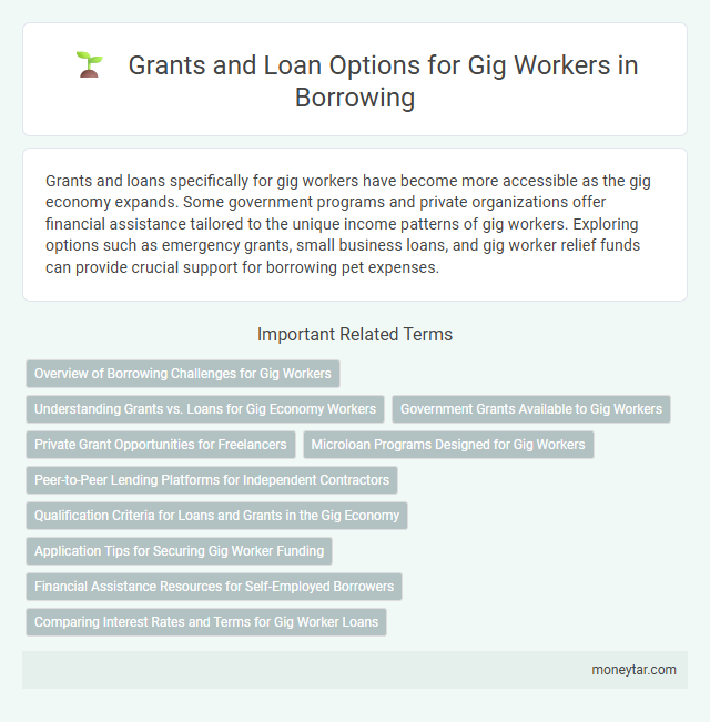 Grants and Loan Options for Gig Workers in Borrowing