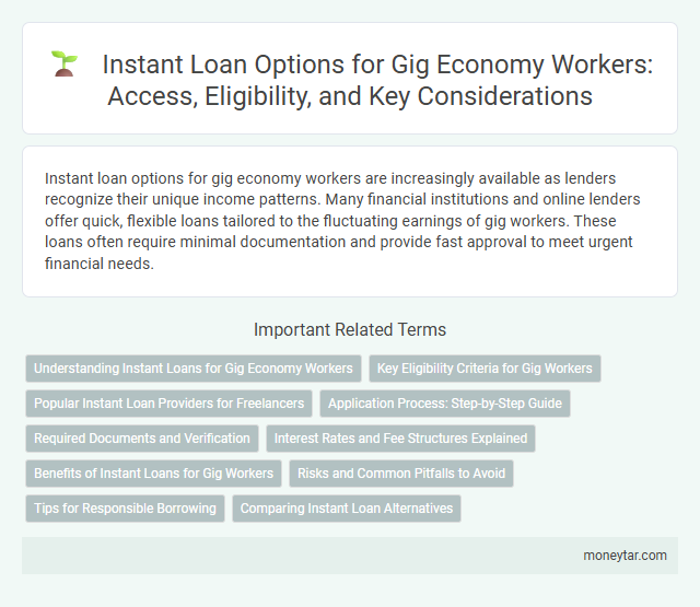 Instant Loan Options for Gig Economy Workers: Access, Eligibility, and Key Considerations