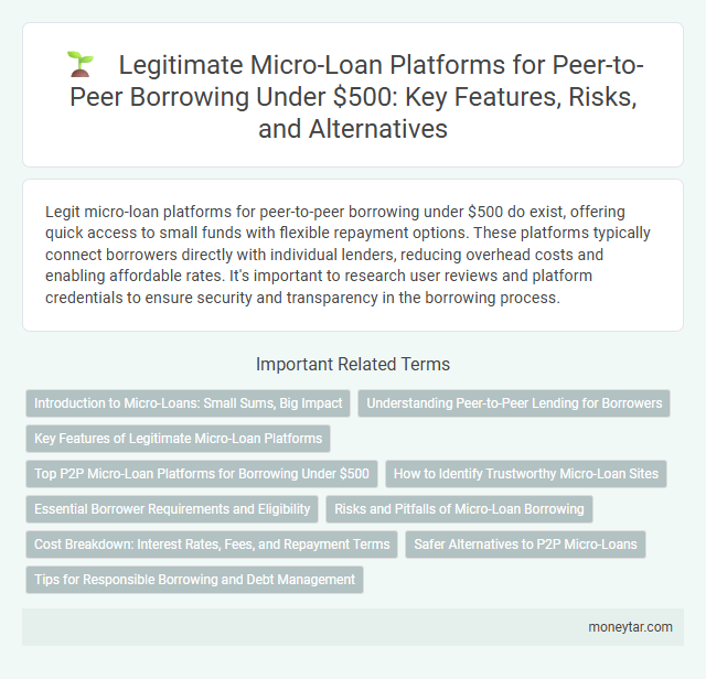 Legitimate Micro-Loan Platforms for Peer-to-Peer Borrowing Under $500: Key Features, Risks, and Alternatives