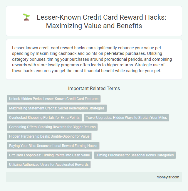 Lesser-Known Credit Card Reward Hacks: Maximizing Value and Benefits