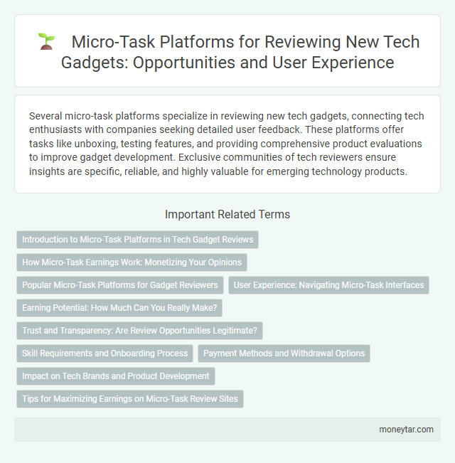 Micro-Task Platforms for Reviewing New Tech Gadgets: Opportunities and User Experience