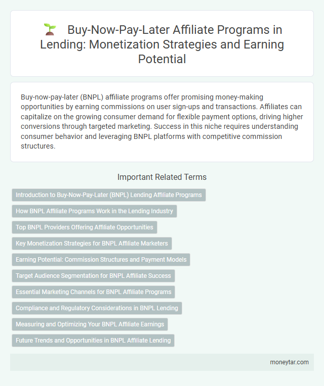 Buy-Now-Pay-Later Affiliate Programs in Lending: Monetization Strategies and Earning Potential