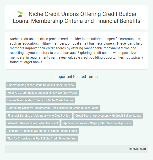 Niche Credit Unions Offering Credit Builder Loans: Membership Criteria and Financial Benefits