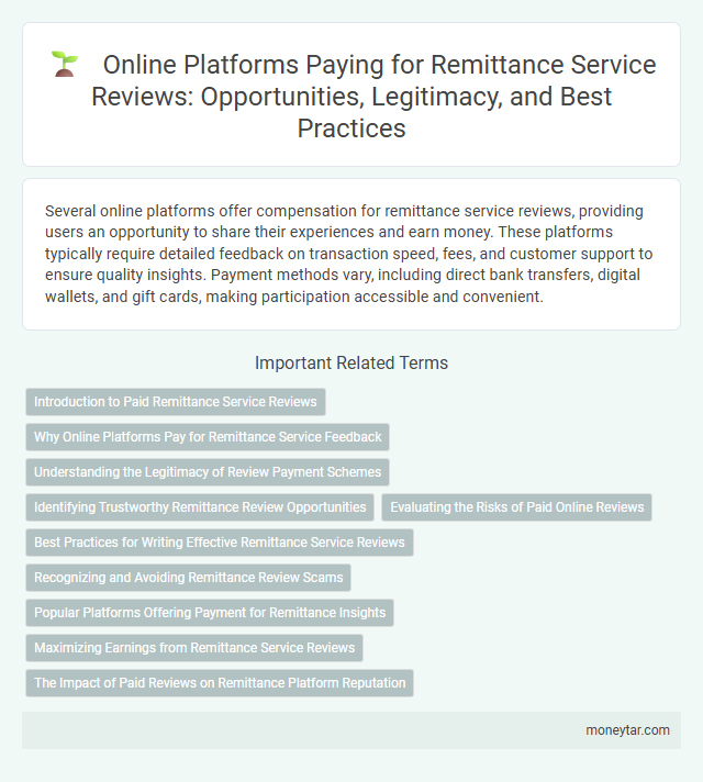 Online Platforms Paying for Remittance Service Reviews: Opportunities, Legitimacy, and Best Practices