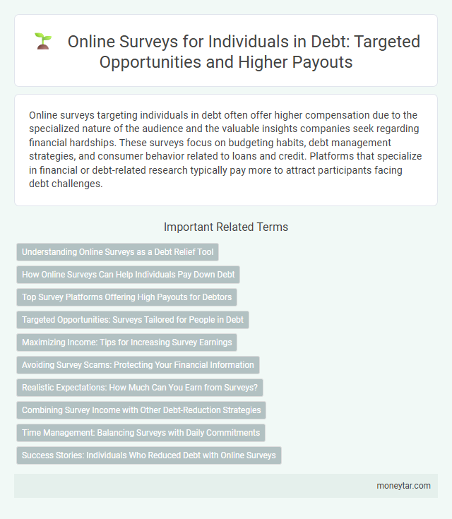 Online Surveys for Individuals in Debt: Targeted Opportunities and Higher Payouts