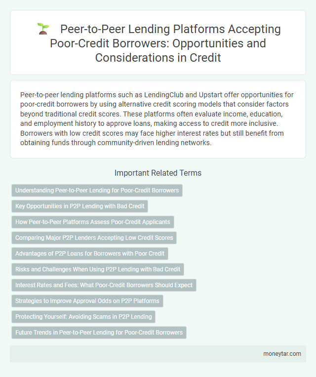 Peer-to-Peer Lending Platforms Accepting Poor-Credit Borrowers: Opportunities and Considerations in Credit