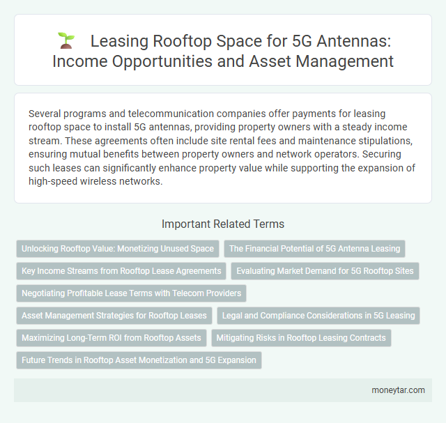Leasing Rooftop Space for 5G Antennas: Income Opportunities and Asset Management