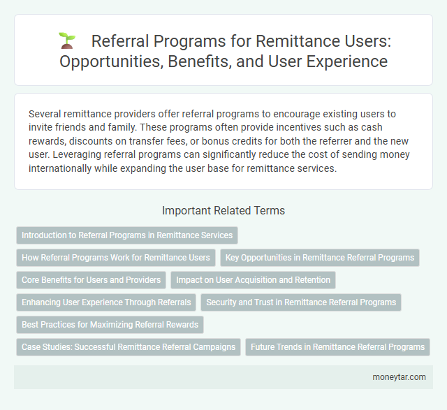 Referral Programs for Remittance Users: Opportunities, Benefits, and User Experience