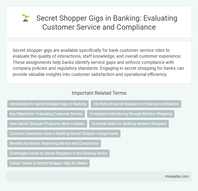 Secret Shopper Gigs in Banking: Evaluating Customer Service and Compliance