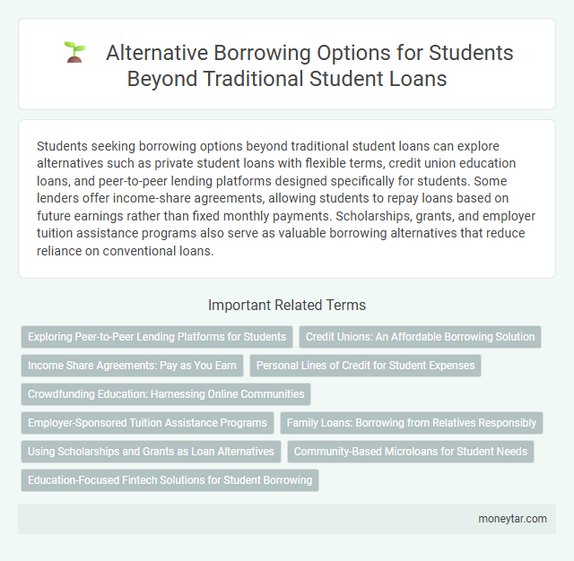 Alternative Borrowing Options for Students Beyond Traditional Student Loans