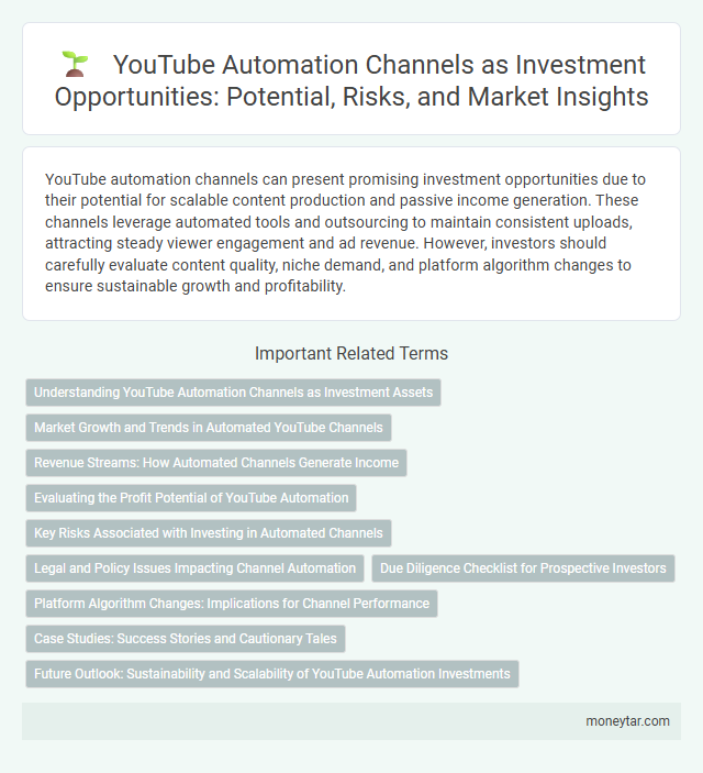 YouTube Automation Channels as Investment Opportunities: Potential, Risks, and Market Insights
