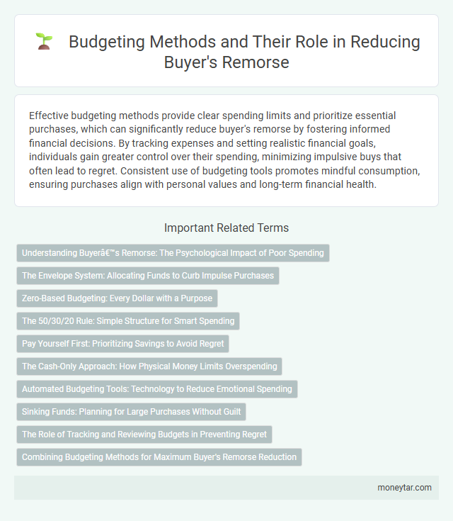 Budgeting Methods and Their Role in Reducing Buyer's Remorse