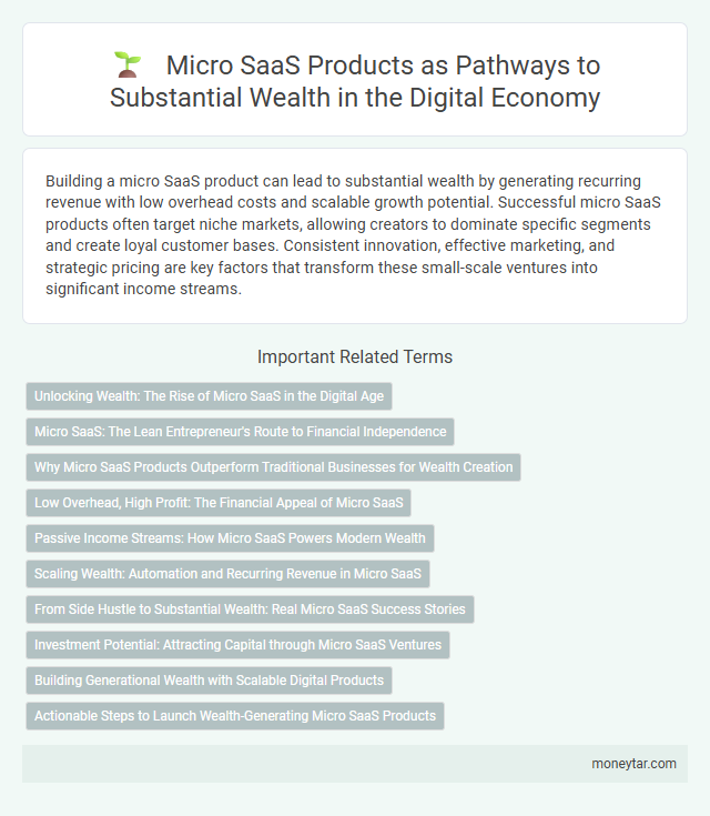 Micro SaaS Products as Pathways to Substantial Wealth in the Digital Economy