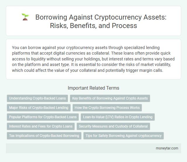 Borrowing Against Cryptocurrency Assets: Risks, Benefits, and Process