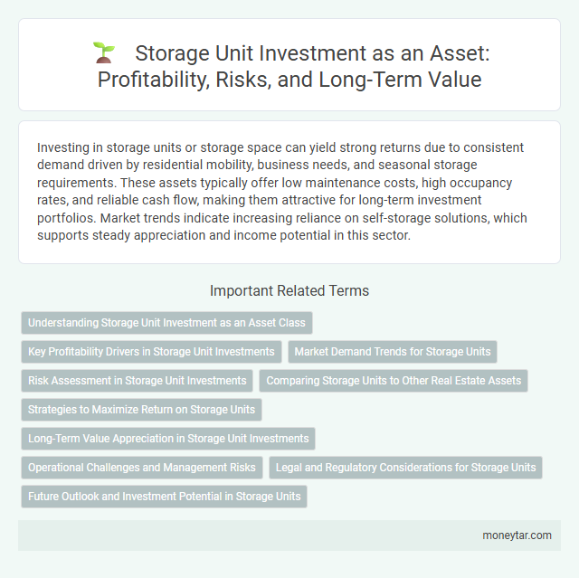 Storage Unit Investment as an Asset: Profitability, Risks, and Long-Term Value