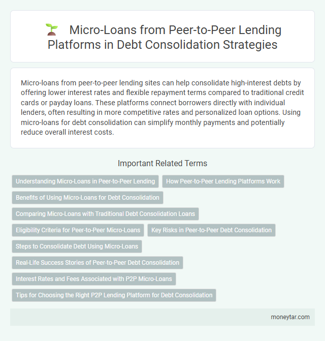 Micro-Loans from Peer-to-Peer Lending Platforms in Debt Consolidation Strategies