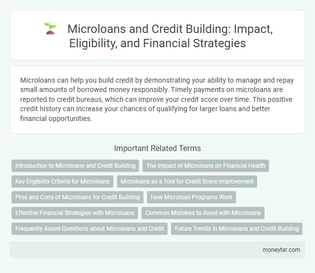 Microloans and Credit Building: Impact, Eligibility, and Financial Strategies