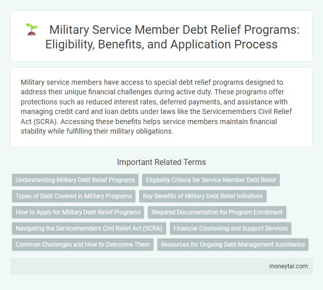 Military Service Member Debt Relief Programs: Eligibility, Benefits, and Application Process