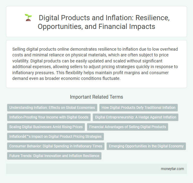 Digital Products and Inflation: Resilience, Opportunities, and Financial Impacts