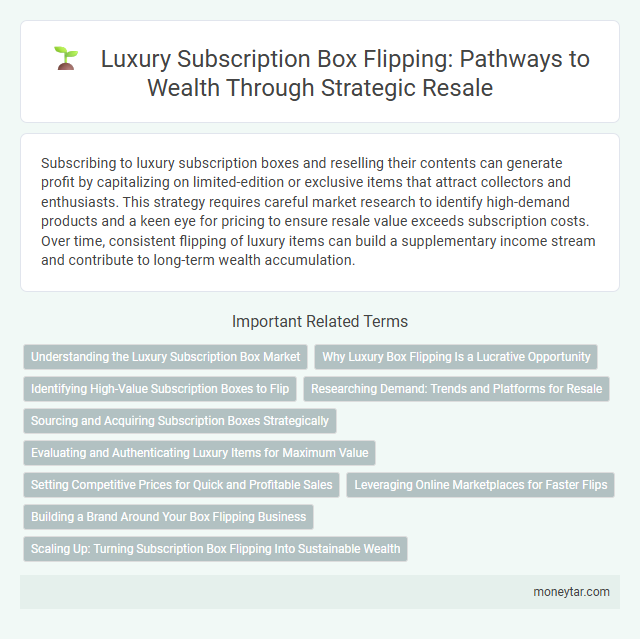 Luxury Subscription Box Flipping: Pathways to Wealth Through Strategic Resale
