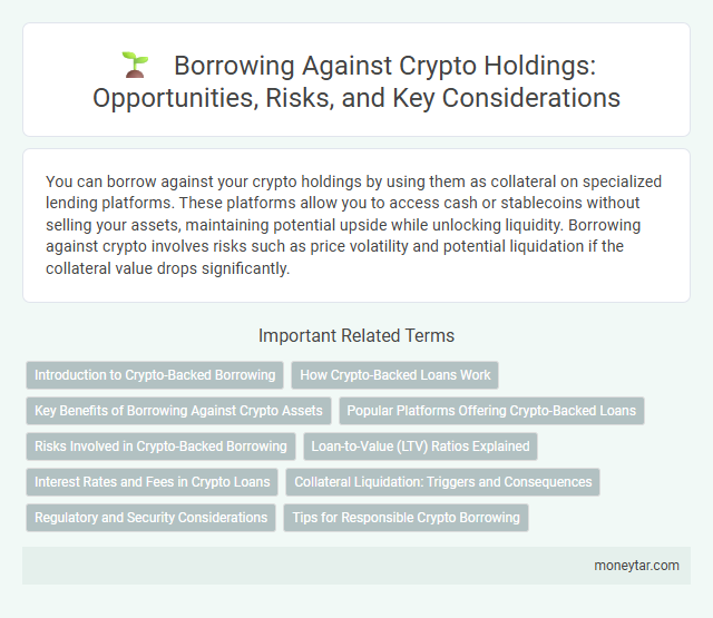 Borrowing Against Crypto Holdings: Opportunities, Risks, and Key Considerations