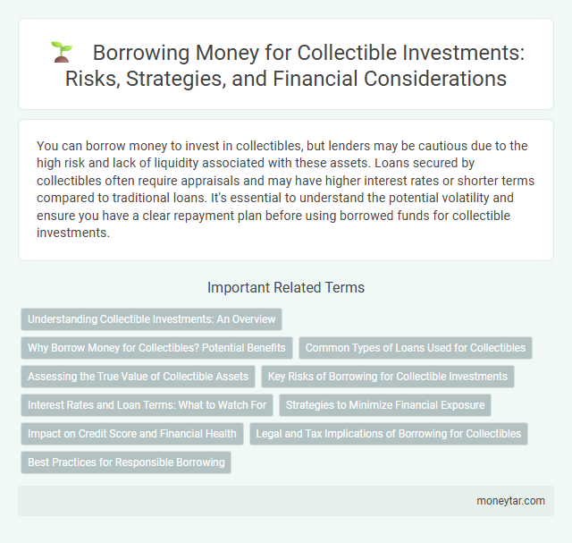 Borrowing Money for Collectible Investments: Risks, Strategies, and Financial Considerations