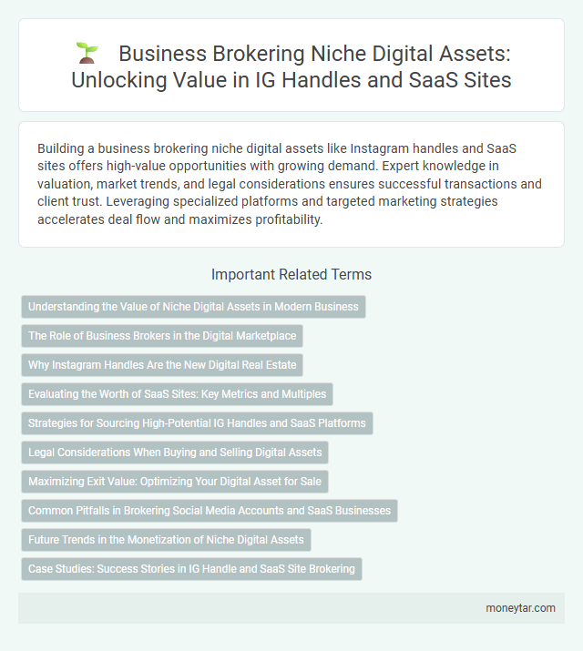 Business Brokering Niche Digital Assets: Unlocking Value in IG Handles and SaaS Sites
