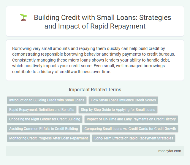 Building Credit with Small Loans: Strategies and Impact of Rapid Repayment