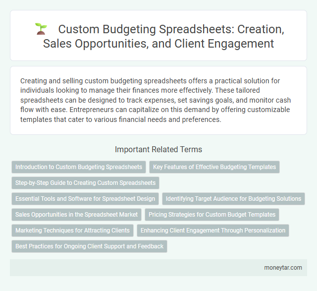 Custom Budgeting Spreadsheets: Creation, Sales Opportunities, and Client Engagement