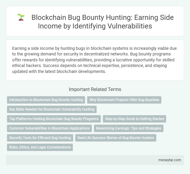 Blockchain Bug Bounty Hunting: Earning Side Income by Identifying Vulnerabilities