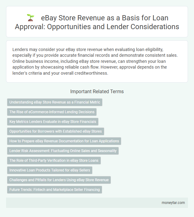 eBay Store Revenue as a Basis for Loan Approval: Opportunities and Lender Considerations
