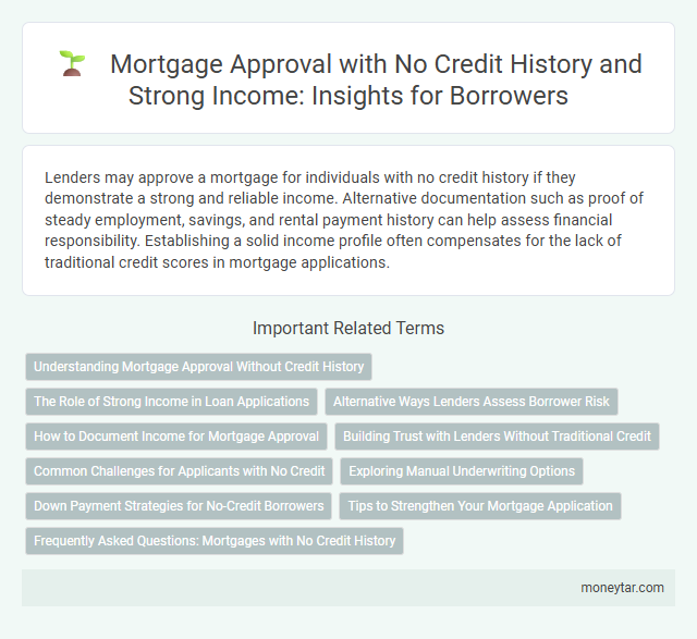 Mortgage Approval with No Credit History and Strong Income: Insights for Borrowers
