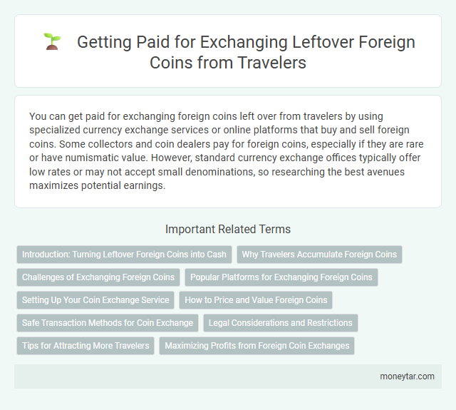 Getting Paid for Exchanging Leftover Foreign Coins from Travelers