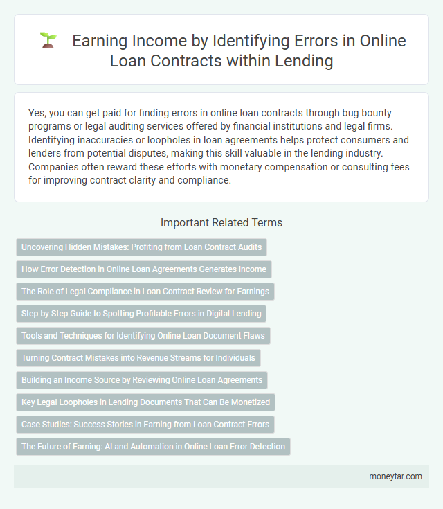 Earning Income by Identifying Errors in Online Loan Contracts within Lending