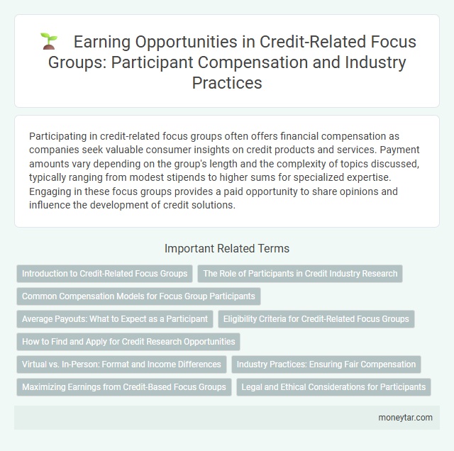 Earning Opportunities in Credit-Related Focus Groups: Participant Compensation and Industry Practices
