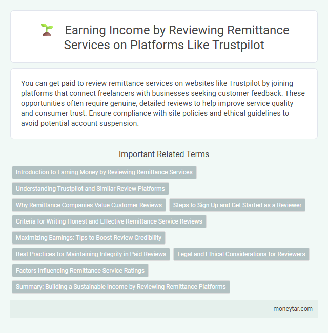 Earning Income by Reviewing Remittance Services on Platforms Like Trustpilot