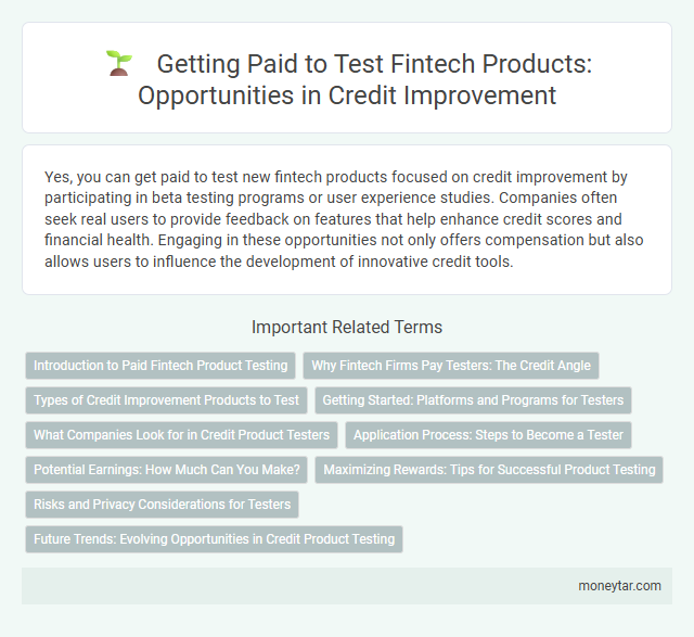 Getting Paid to Test Fintech Products: Opportunities in Credit Improvement
