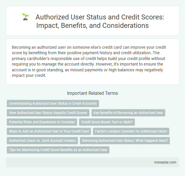 Authorized User Status and Credit Scores: Impact, Benefits, and Considerations