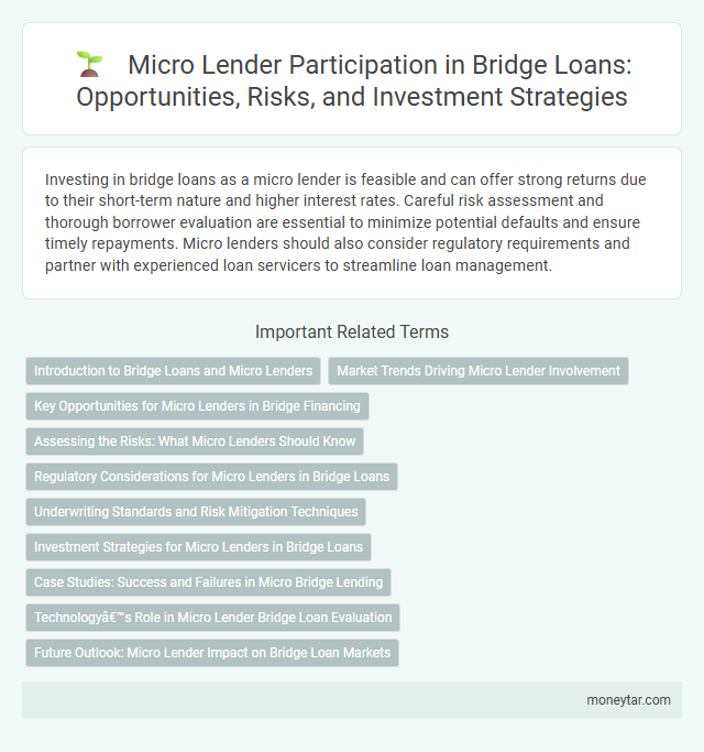 Micro Lender Participation in Bridge Loans: Opportunities, Risks, and Investment Strategies