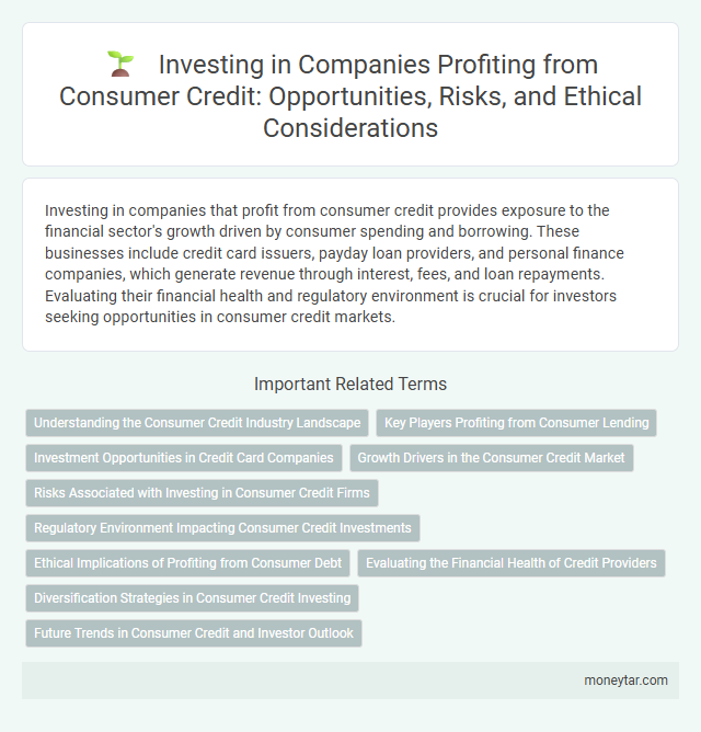 Investing in Companies Profiting from Consumer Credit: Opportunities, Risks, and Ethical Considerations
