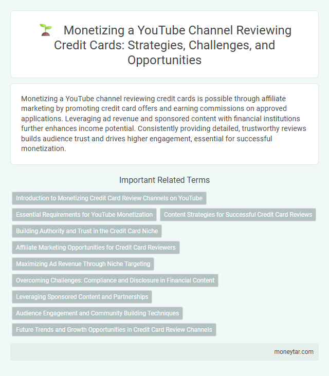 Monetizing a YouTube Channel Reviewing Credit Cards: Strategies, Challenges, and Opportunities