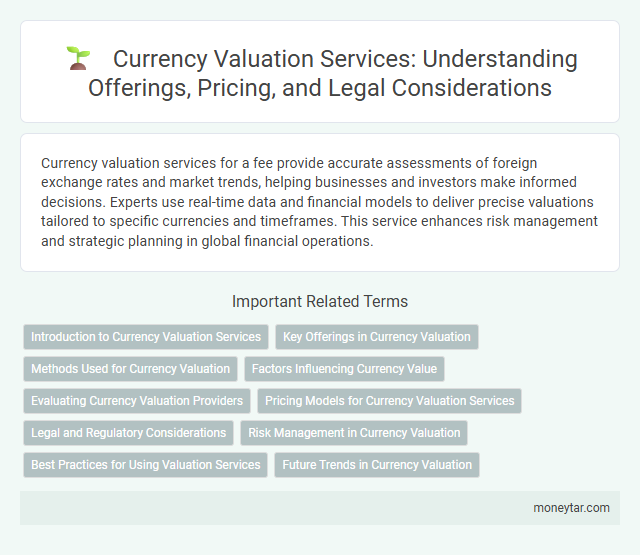 Currency Valuation Services: Understanding Offerings, Pricing, and Legal Considerations