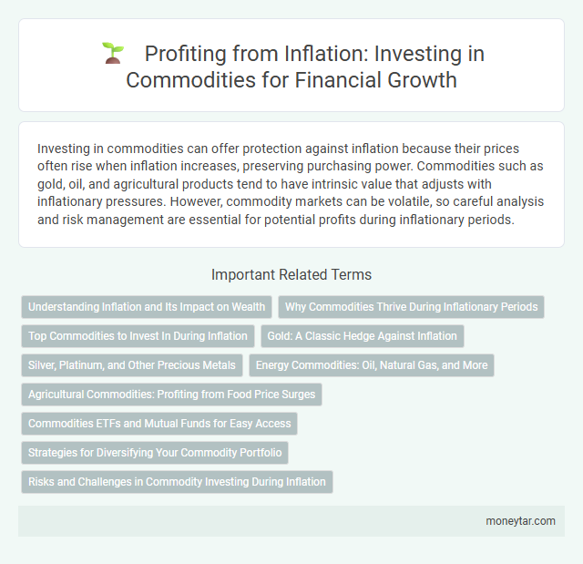 Profiting from Inflation: Investing in Commodities for Financial Growth